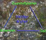 Een heldere vijver: hoe houd je je vijver gezond en zorg je voor helder water?