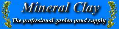 Beste Mineral Clay