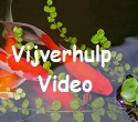 Vijvervideo