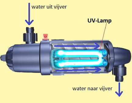 uvc filter een troebele vijver en vijverwater helder maken met uvc filtering