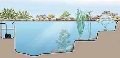 Het dwarsprofiel toont hoe de vijver er onder het wateroppervlak uitziet