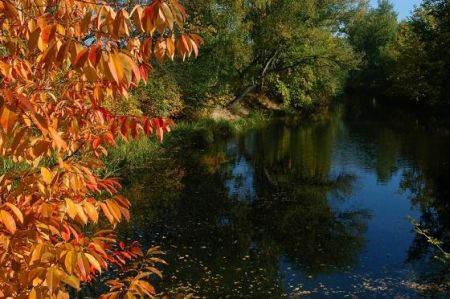 onderhoud vijver in de herfst