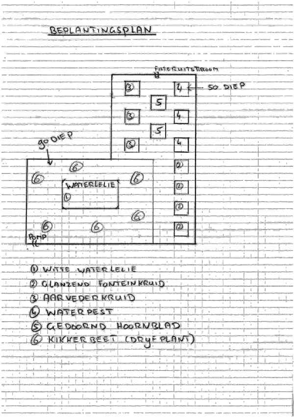 Voorbeeld vijverontwerp: beplantingsplan vijver